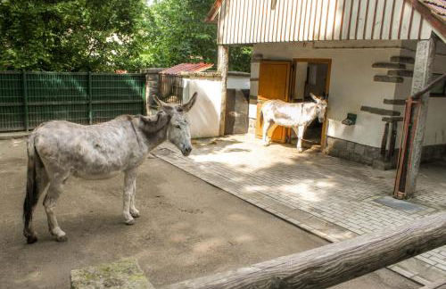Bischofswerda Ferienwohnung Familienfreundlich Seniorengerecht - Foto 48