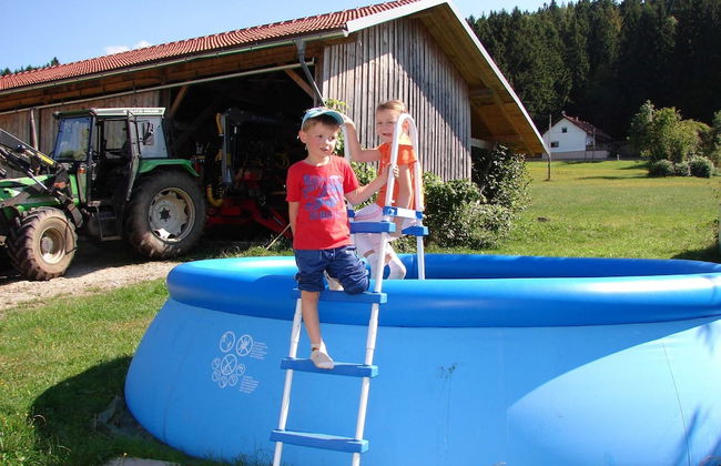 Farmhouse in Neukirchen Near Heiligen Blut - Foto 52
