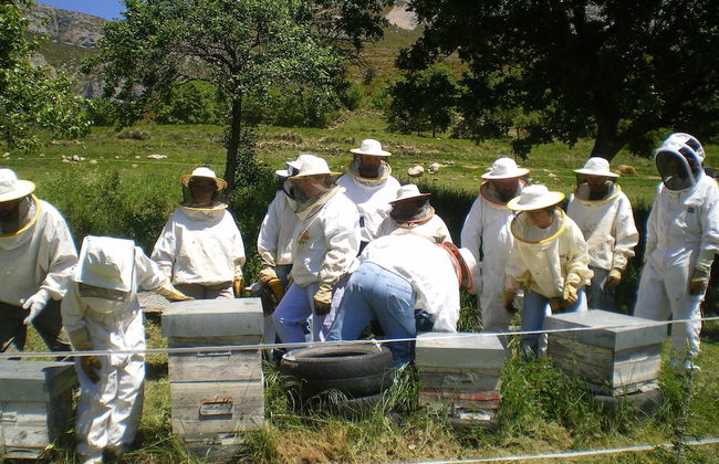 Albergue Casa Fumenal - Foto 10