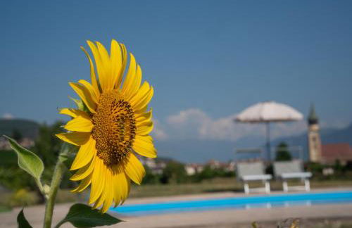 Gutshof Ebner - Foto 58