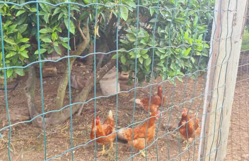 A un Passo dal Tramonto - Foto 23