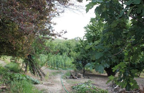 Cascina G appartamento tra i noccioli - Foto 34