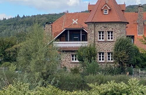 Ruhr-Wald-Blick - Foto 1