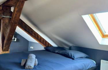 Cosy 4 - Montbéliard centre 80m2 - Foto 27