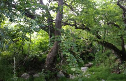 The StoneHouse - Photo 14