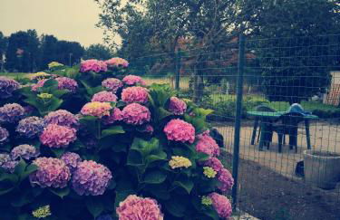 C'era una volta appartamento Queen - Foto 49