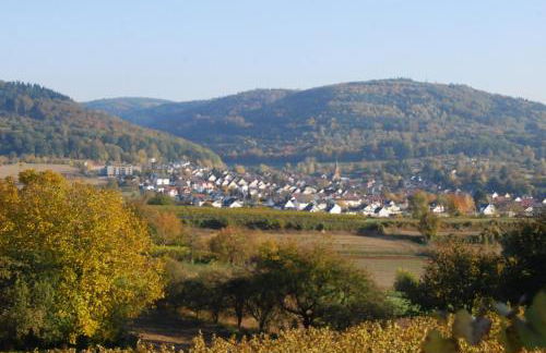 Luxus Loft ideal Europa Park, Straßburg und Schwarzwald - Foto 50