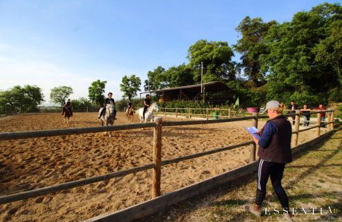 Agriturismo Essentia dimora rurale - Foto 83