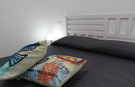 Stella di Mare - Foto 3