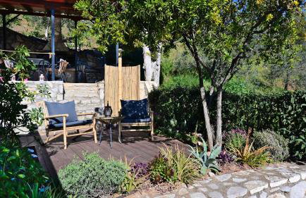 The Olive Tree - Photo 35