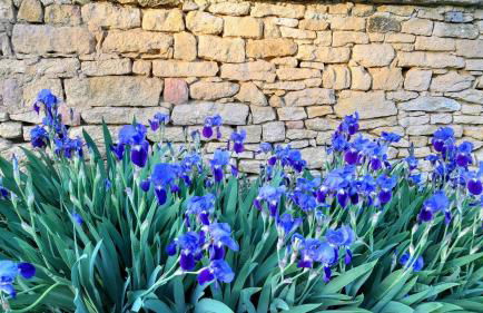 Clos Lamonzie - Foto 10