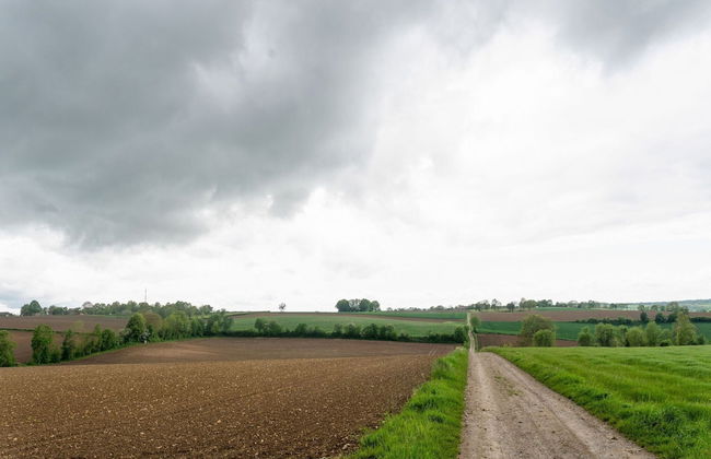 Apartment in Ubachsberg Near Limburg Hills - Photo 37