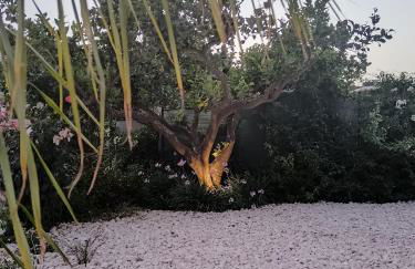 My Sicily Home - Casa con giardino - Foto 40