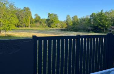 les Palmiers - Foto 6