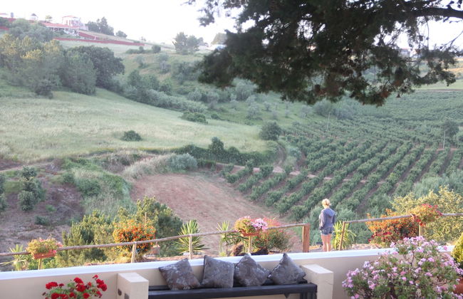 Terra Luso - Foto 50