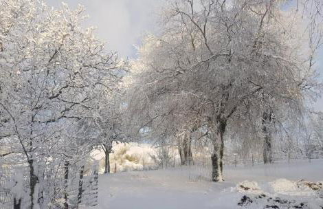 "La maison d'Octavie" - Photo 20