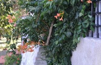 Agriturismo La Querce - Foto 32