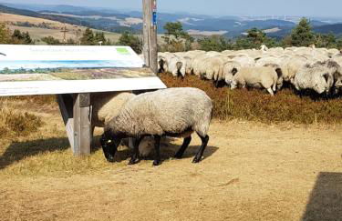 Fewos 4-Jahreszeiten - Foto 24