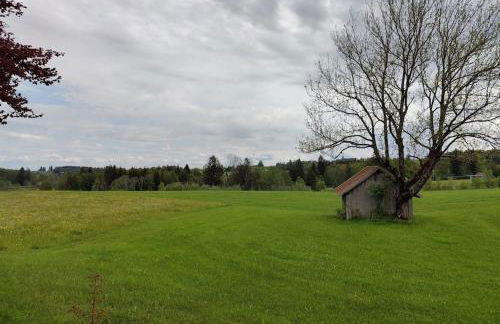 große Wohnung mit Dachterrasse - Foto 8
