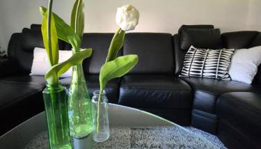 Ferienhaus Im Harzvorland - Foto 4