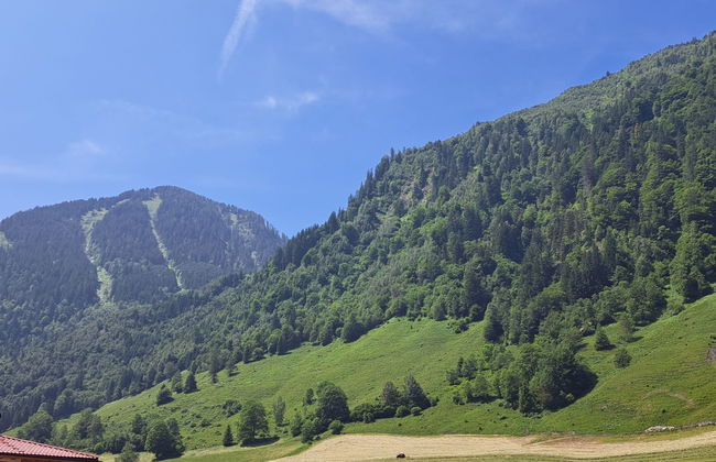 Apartement Haus Dankl - Foto 53