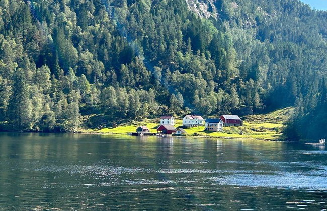 Bergen Fjord Cruise to Mostraumen Guided City Walk - Photo 6
