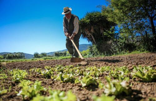 Agriturismo Ristorante Monte Argentario - Foto 82