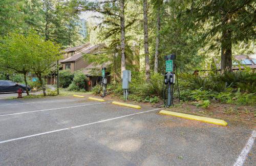 Mt Baker Den, Sleeps 4 - Foto 34