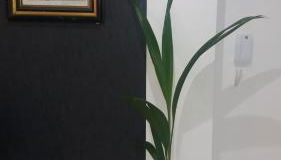 Appartement Espinho - Foto 5