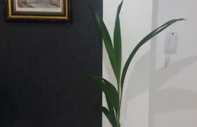 Appartement Espinho - Foto 5