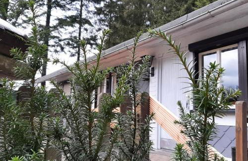 Ferienhaus Allzunah - Photo 14