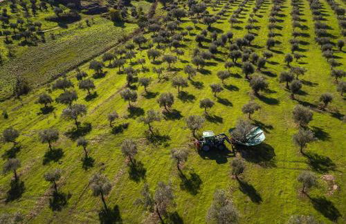 Acushla Original House Douro - Foto 27