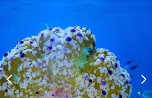 El SOL del SUR - Photo 45