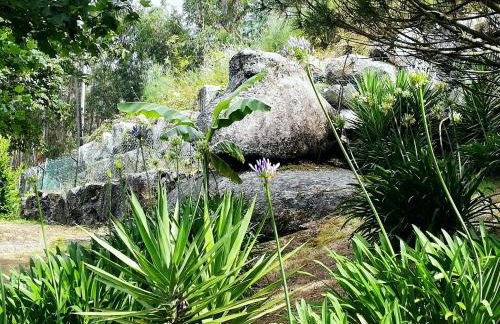 Quinta de S. Vicente 317 - Foto 52