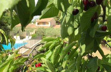 le Gecko en Provence - Foto 42