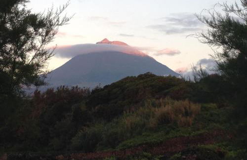 Casa da Costa - Photo 18