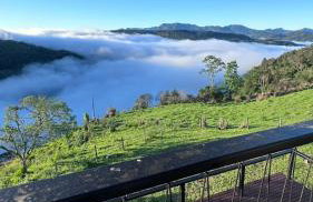 The Valley Cabin - Photo 19