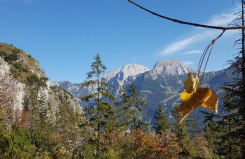 Gästehaus Weinrebe - Foto 11