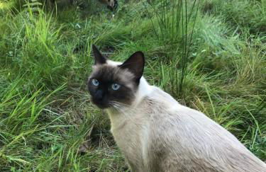 La Fournière de Jean - La Téouleyre - Foto 22