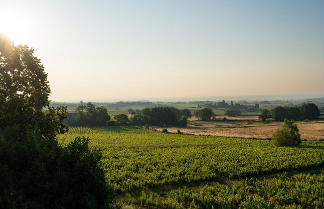 Recorrido privado de un día completo por los viñedos de Borgoña en un Land Rover clásico (Lyon) - Foto 10
