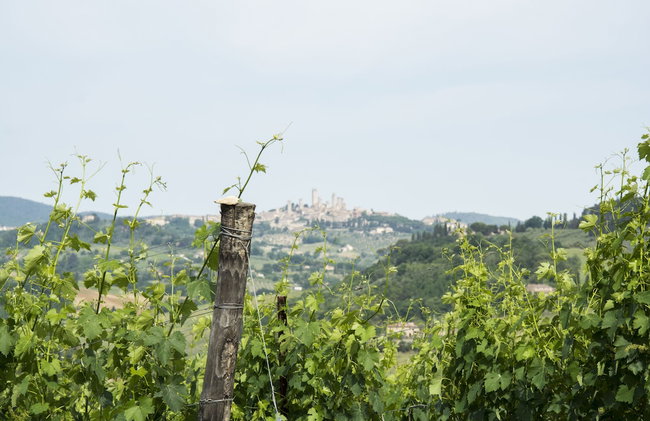Croce di Bibbiano - Foto 69