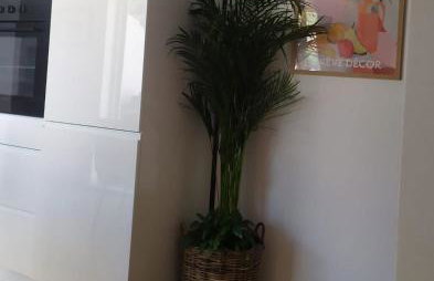 Beachside Loft near Dubrovnik - Foto 18