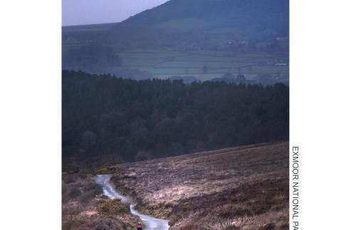 Dunster Studio Apartment - Photo 29