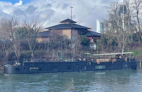 Grande péniche 4 ch - 10 pers -Paris - Ile de Puteaux- terrasses - Foto 36