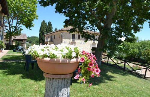 Tenuta Pizzogallo - Foto 24