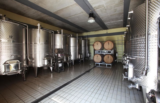 Agriturismo Belvedere Pierini e Brugi - Foto 27