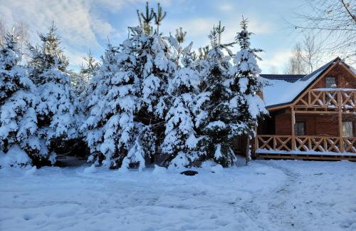 Dom pod brzozą-urowo - Foto 35