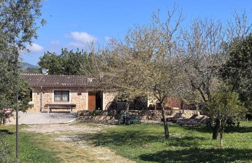 Country house Samantha & pool near Santa Maria - Foto 50