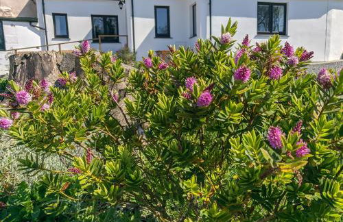 Darracott Farm Cottage - Foto 6