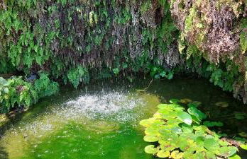 Filoxenia Olive Garden luxury villas and suites - Foto 62